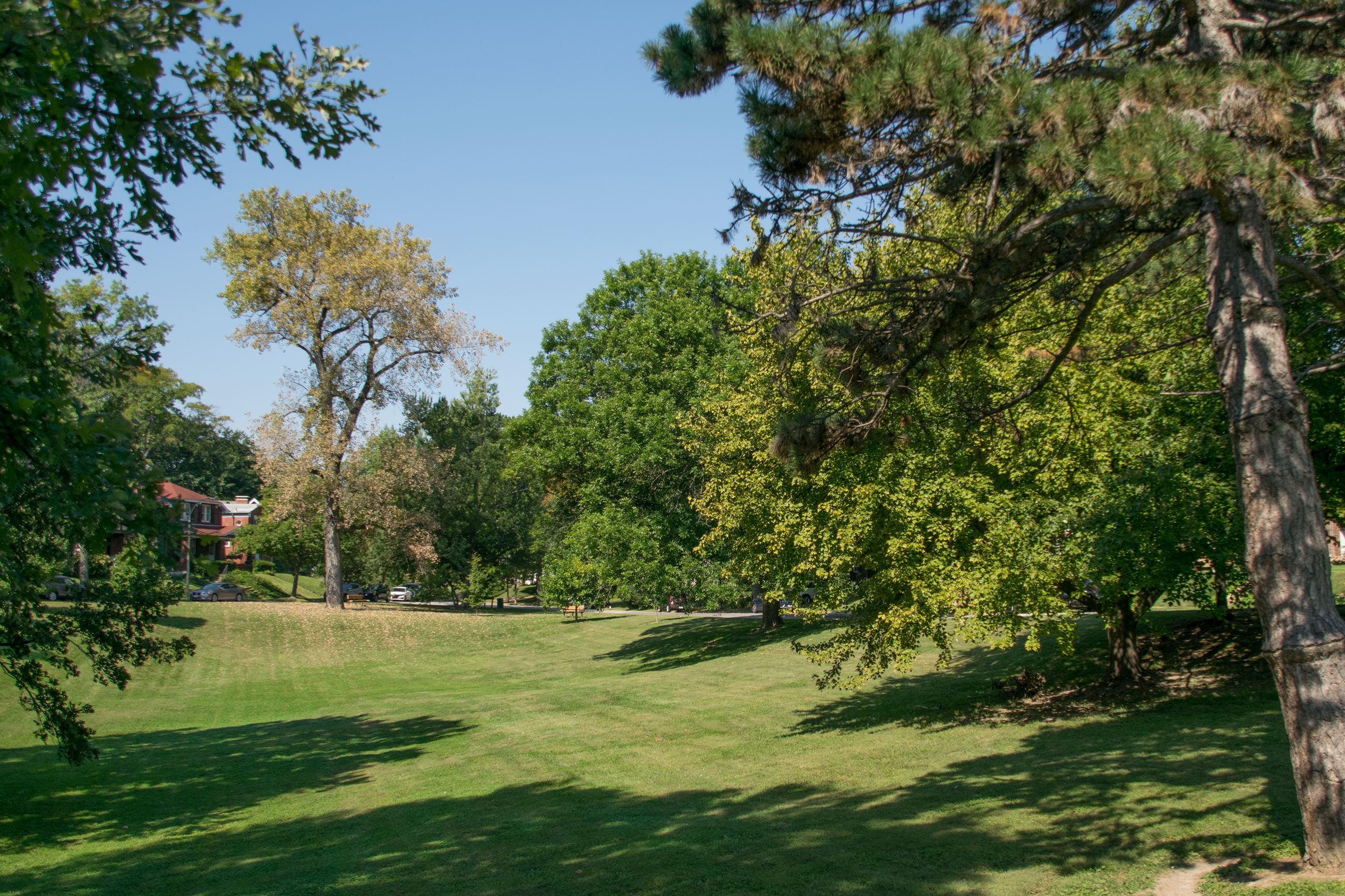 Joseph L Adams Park 1