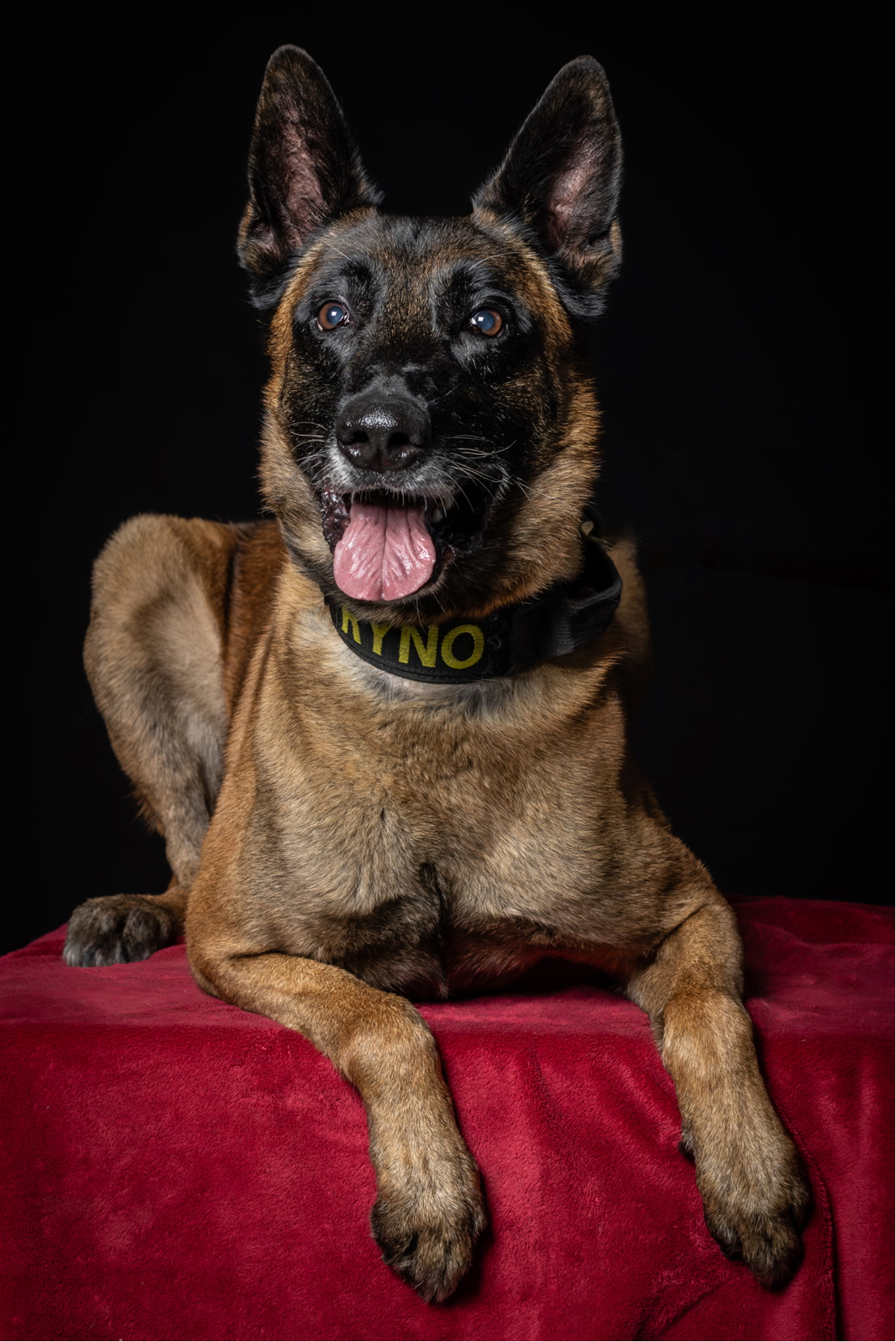 1e4584c2-7031-4553-ba9c-c20209ecbb79